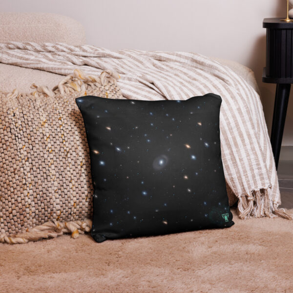 Proud UFO Home Off-World Ed. | Reversible Square Pillow - Image 6